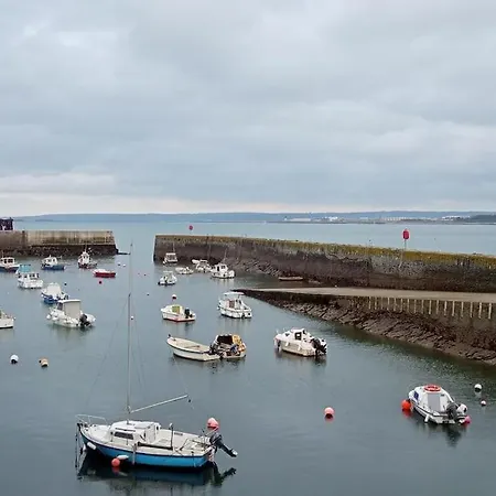 Studio Cabane Σπίτι διακοπών Cherbourg-en-Cotentin