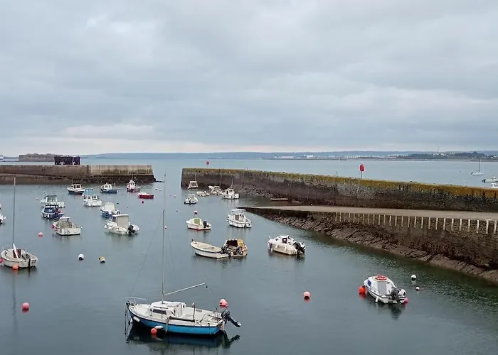 Studio cabane Hébergement de vacances Cherbourg-en-Cotentin